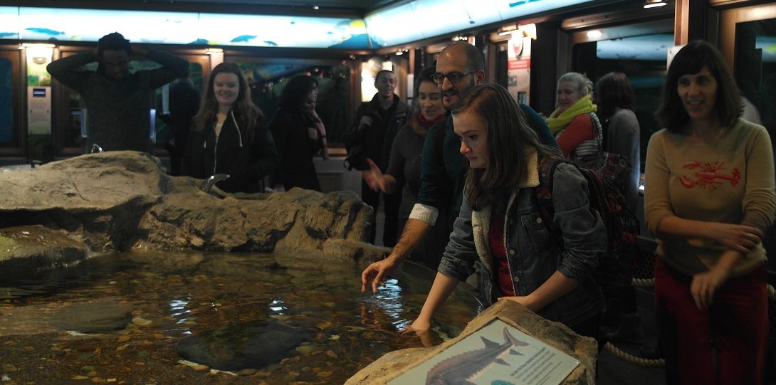 Students explore exhibits at aquarium